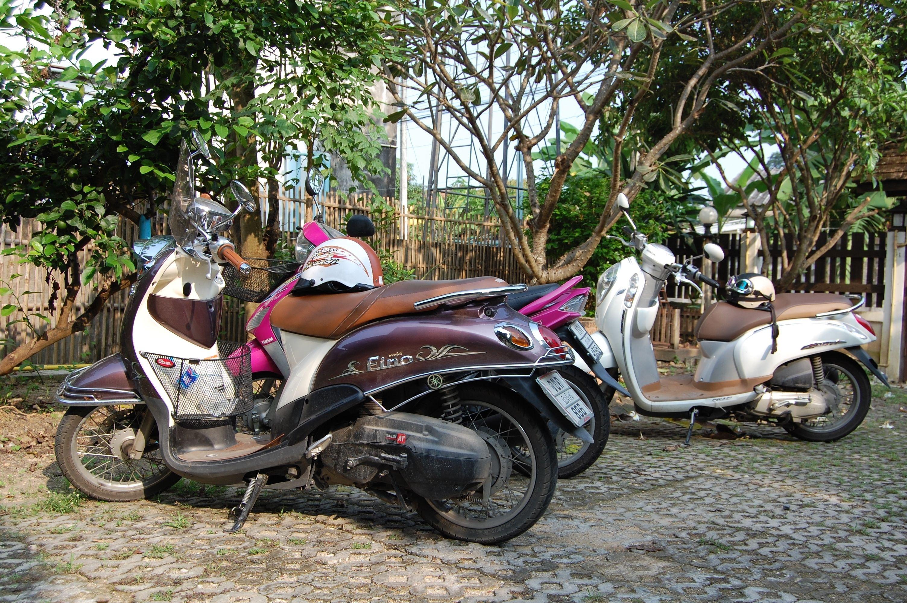 Swiss-Lanna Lodge - Chiang Mai — Photos 3
